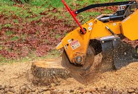 Best Pest Control for Lawns  in Pine Lake Park, NJ