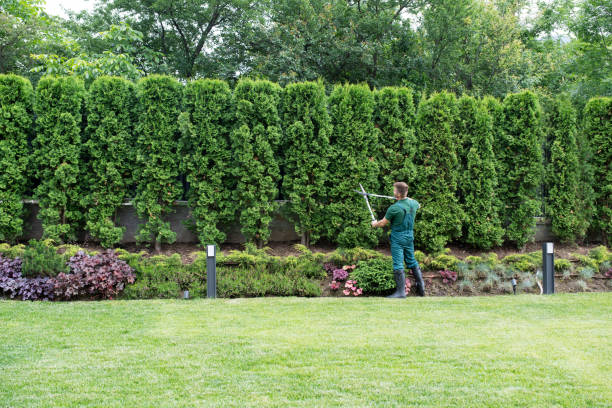 Best Lawn Mowing  in Pine Lake Park, NJ