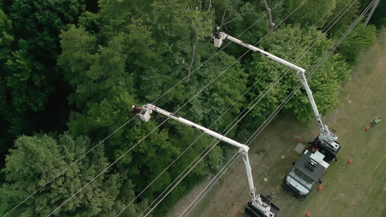 Best Aeration Services  in Pine Lake Park, NJ